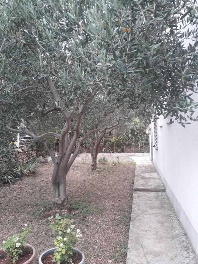 Apartments Boljat Trogir Eksteriør bilde